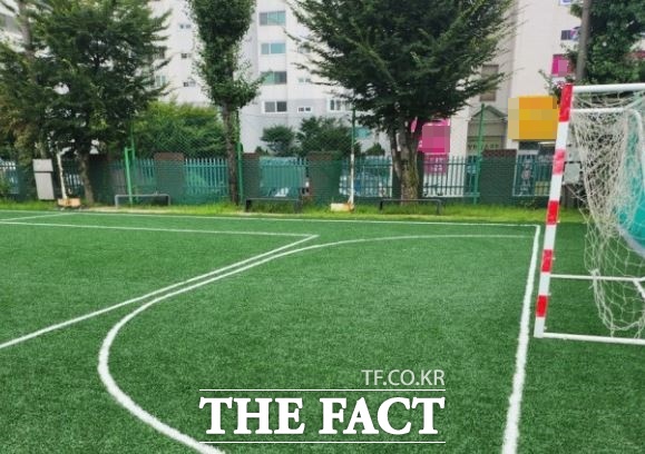풋살장 전경. 사건과 상관 없음. /네이버 캡처