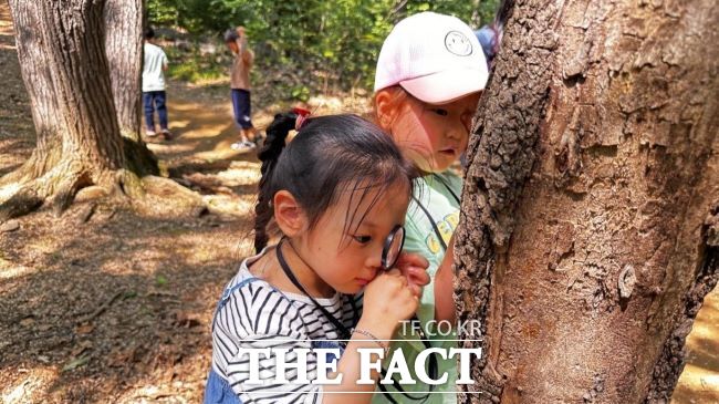 숲해설 프로그램에 참가한 어린이./안양시