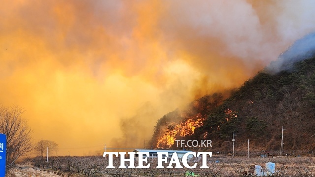 산청군 시천면에서 발생한 산불은 22일 오전까지 진화율이 75%까지 올랐으나 강풍으로 불길이 번지면서 진화에 어렴움을 겪고 있다./산쳥=독자제공
