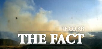 경북 의성 산불 현장 / 산림청