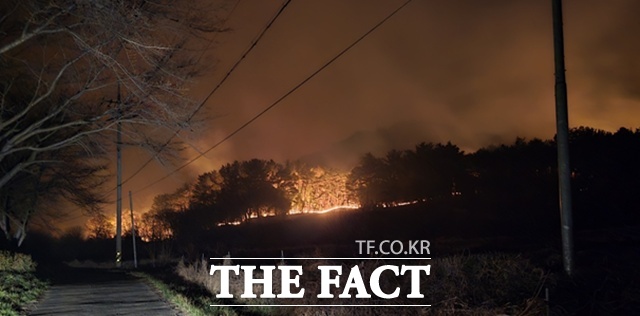 하동군 옥종면 두양리에 이어 면 소재지 인근까지 불길이 확산되면서 전국 최대 딸기 주산지와 문화재 밀집 지역이 불길에 휩싸일 위기에 놓였다. 모한재, 청계사 진입이 어려워 소실 여부는 확인이 되지 않고 있다. /하동군