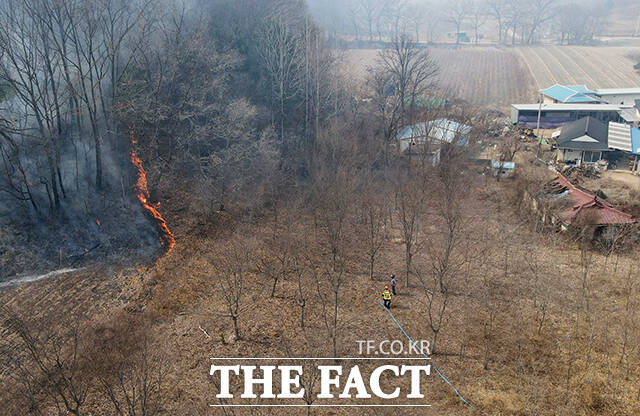 의성 산불이 발생한지 4일째를 맞은 25일 오후 경북 의성군 단촌면 일대 야산 곳곳에서 잔불들이 확산되고 있다. /의성=박헌우 기자