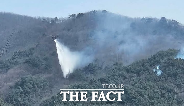 경남 산청지역에서 발생한 산불이 하동을 거쳐 지리산국립공원까지 번졌다. /이경구 기자