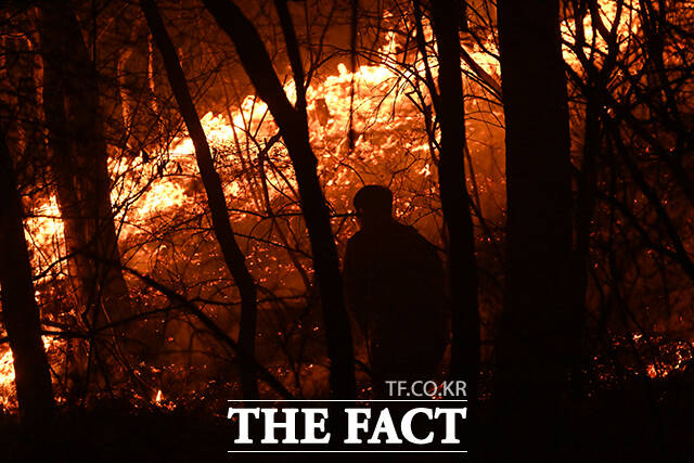 의성 산불이 발생한지 4일째를 맞은 25일 오후 주왕산 국립공원이 인접한 경북 청송군 청송읍 청운리 일대에 불이 확산 중인 가운데 주민이 불길을 잡고 있다. /안동=박헌우 기자