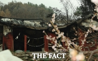  화마가 앗아간 '산청의 봄' [TF사진관]