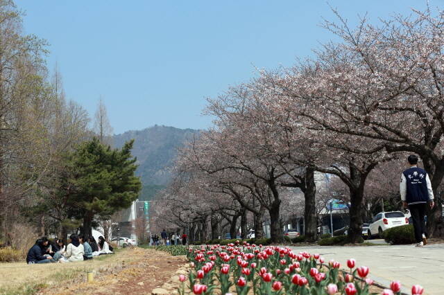 목포대학교 캠퍼스 /목포대