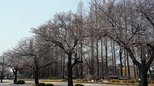 목포대학교 캠퍼스 /목포대