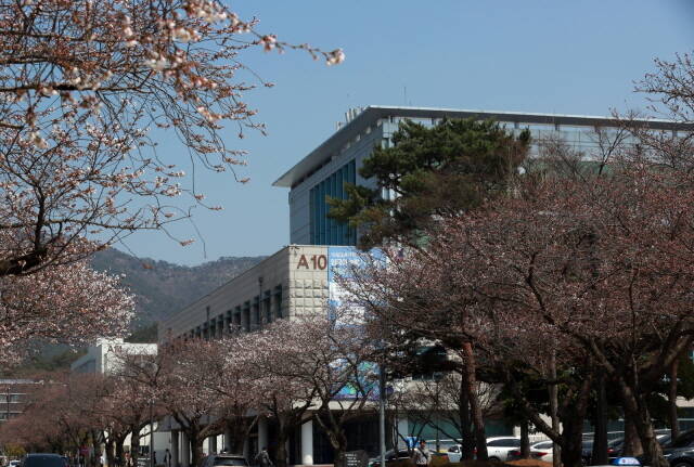 목포대학교 캠퍼스 /목포대