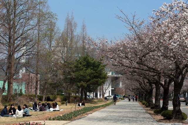 목포대학교 캠퍼스 /목포대