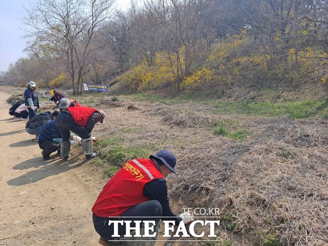 안양시 발달장애인 평생교육지원센터 장애인과 직원 등이 4일 학의천 일대에서 생태계 교란식물 제거작업을 진행했다. /안양시