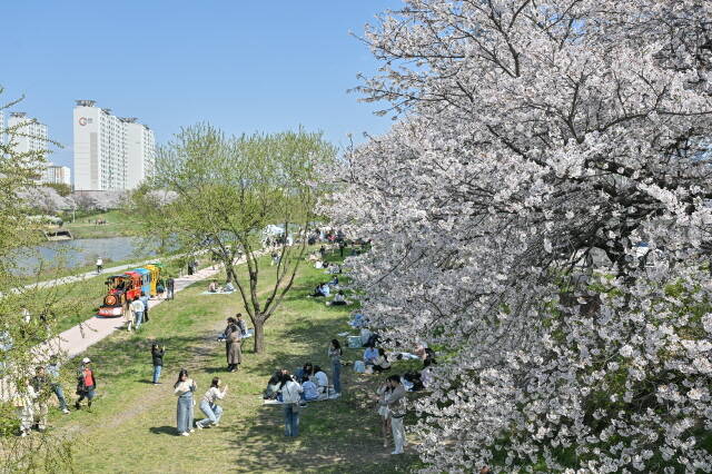 광주시 서구는 6일 서구 광주천변 일원에서 봄을 여는 소리, 희망의 울림으로를 주제로 힐링음악회를 열었다. 행사장 주변에서 시민들이 봄의 정취를 만끽하고 있다. /광주시 서구