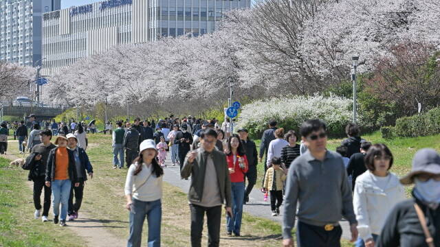 봄의 정취를 만끽하는 시민들. /광주시 서구