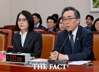  질의에 답변하는 조태열 외교부장관 [포토]