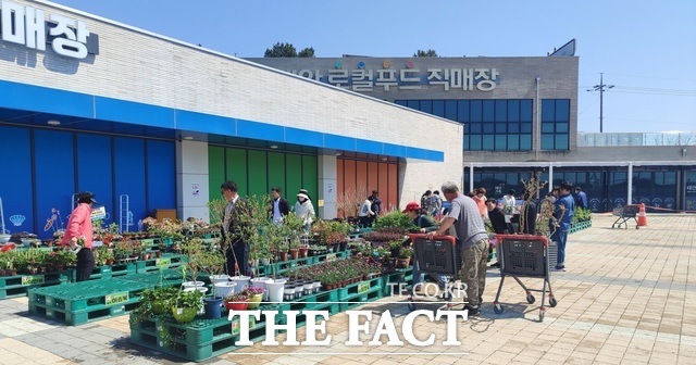 태안로컬푸드직매장에서 태안로컬푸드 봄꽃축제가 열리고 있다. / 태안군