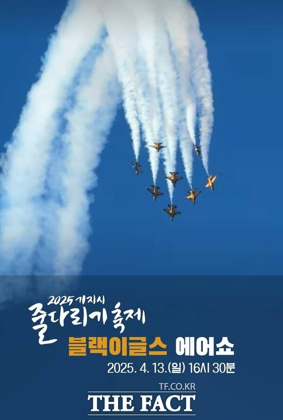 블랙이글스 에어쇼 장면. /공군 블랙이글스
