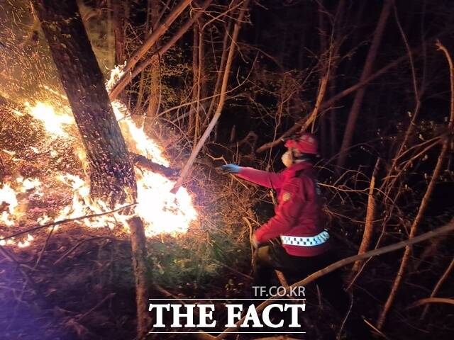 산불진화대원이 경남 하동군 옥종면 회신리 야산에서 발생한 산불을 진화하고 있다./산림청