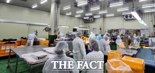 학교급식 수산물 공급업체 합동점검 모습./안양·군포·의왕·과천 공동급식지원센터