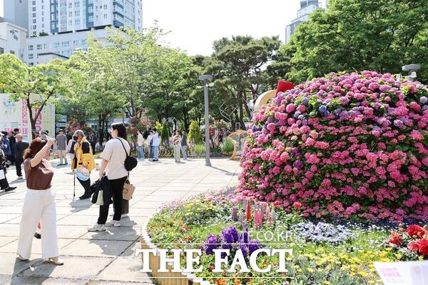 지난 2024년 유성온천 봄꽃 전시회에 찾은 시민들이 꽃을 관람하고 있는 모습./대전 유성구