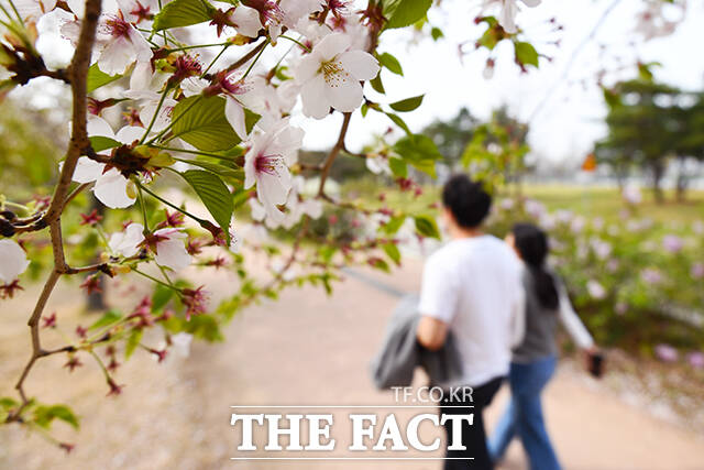 목요일인 17일 아침 최저기온은 8~15도, 낮 최고기온은 18~27도의 분포를 보이겠다. /서예원 기자