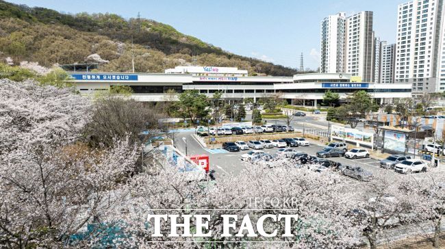 의왕시청에 만발한 벚꽃 모습./의왕시