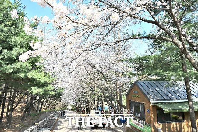 소래산 풍경./시흥시