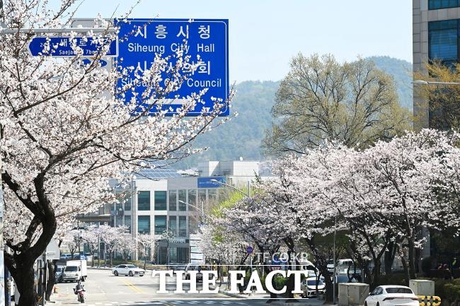 시청로 풍경./시흥시