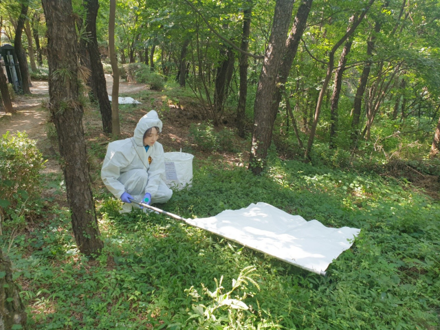 서울시보건환경연구원이 이달부터 오는 10월까지 진드기 집중 감시 활동을 시행한다. /서울시