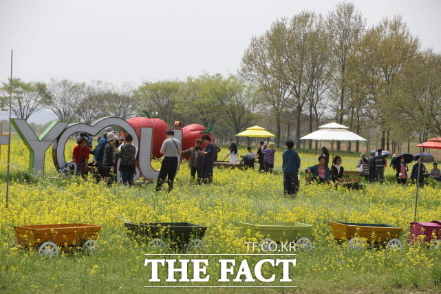 2025 부여세도 방울토마토&유채꽃 축제 장면. /부여군