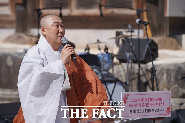 2025년 홍매화는 분열된 사회의 갈등을 치유하는 국민 홍매화로 자리매김했다고 소감을 밝힌 지리산 대화엄사 주지 덕문스님./화엄사