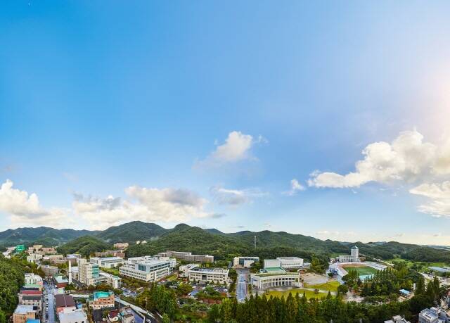 목포대학교 전경. /목포대