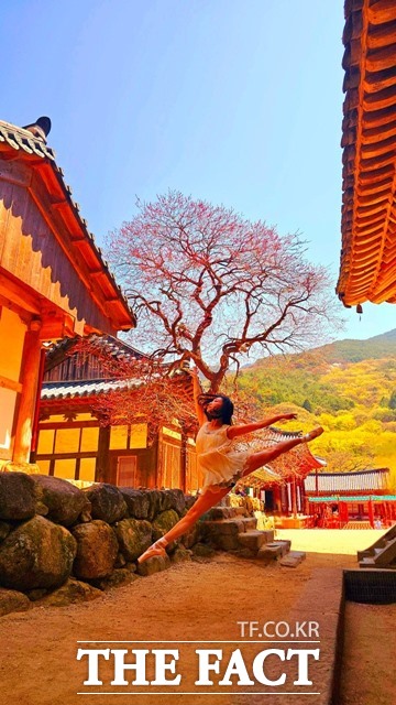 휴대폰 부문 부지주스님상 수상자 한현주의 불심에 스민 홍매/몸은 흙에 닿고 마음은 하늘에 닿는다./화엄사