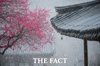  '홍백의 만남', 화엄사 제5회 홍매화·들매화 전문사진 '대상'...총 1178점 응모
