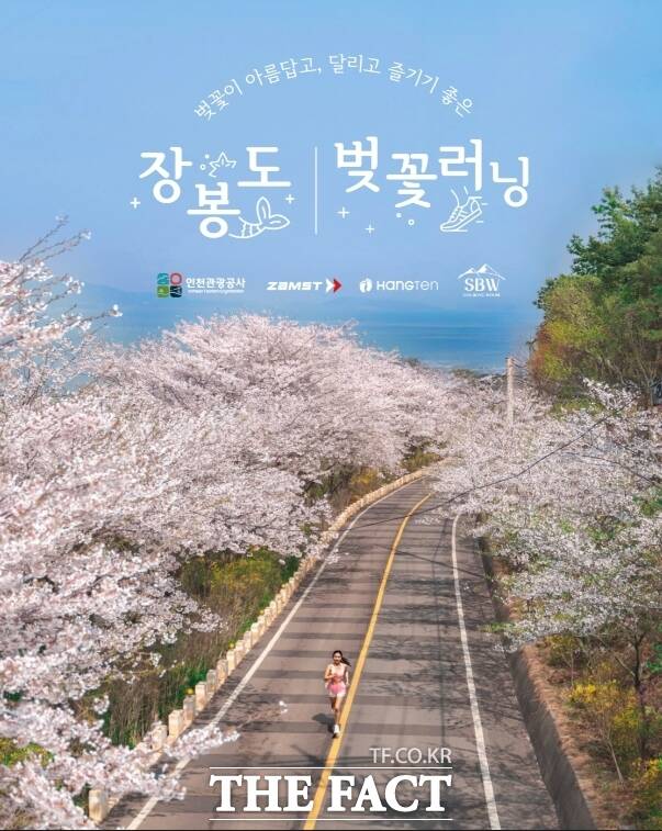 장봉도 벚꽃러닝 홍보 포스터. /인천관광공사