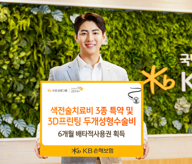 KB손해보험이 신규특약 4종과 관련해 6개월 배타적사용권을 획득했다. /KB손해보험