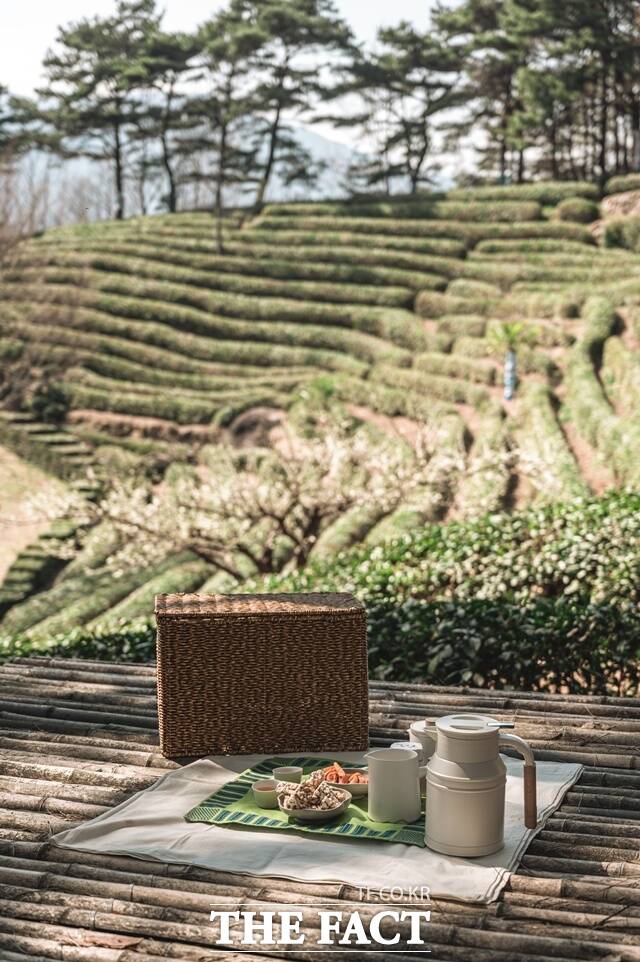 하동군이 다음 달 2일부터 5일까지 열리는 하동야생차문화축제 기간에 맞춰 하동소풍과 전국 어린이 하동야생차 보물찾기 페스타를 연다. /하동군