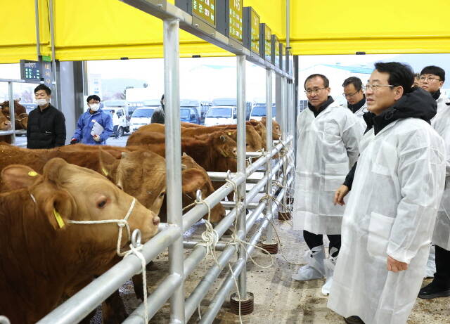 강진완도축협 가축시장. /강진군