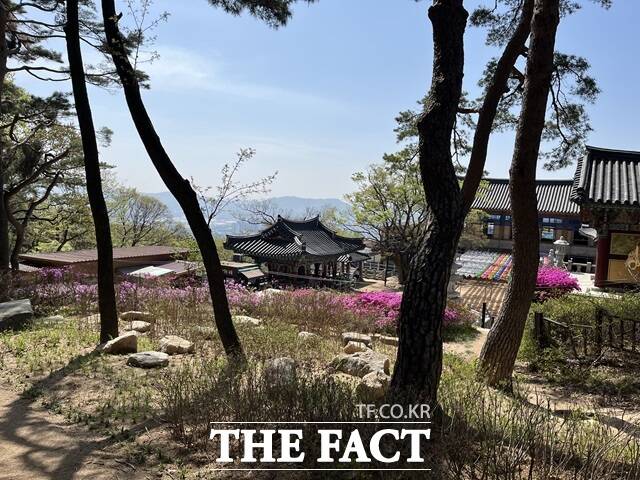 서울시가 금천구 호압사 일대 전통 사찰 소유의 산림을 시민 누구나 자유롭게 이용할 수 있는 호압사 사찰림 산림여가공간으로 조성했다. 사진은 초화 정원./서울시