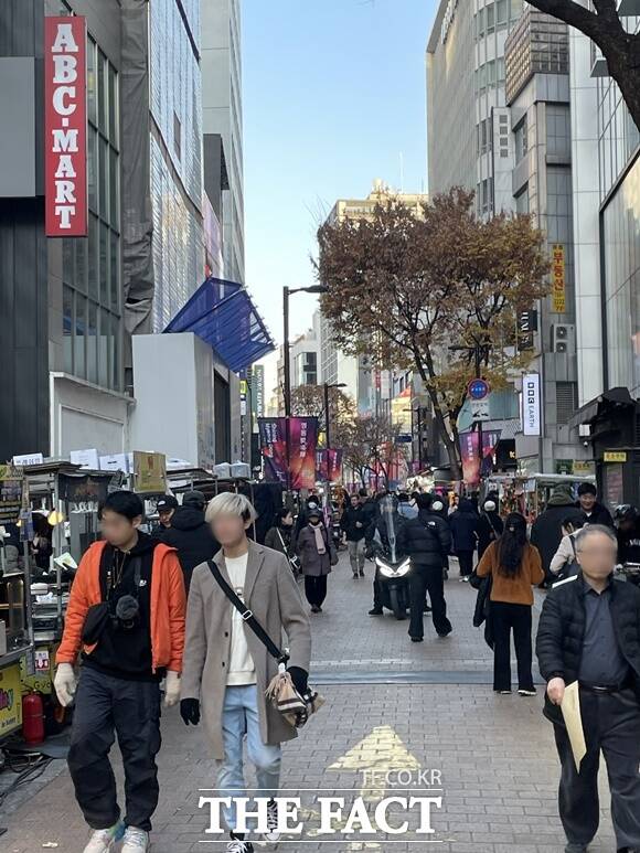 서울시가 2025년 1월 1일 기준 공시지가를 30일 결정·공시했다. 사진은 서울 중구 명동 거리에 외국인 관광객들이 가득한 모습. /더팩트 DB