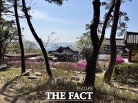  금천 호압사 453평 시민 개방…사찰림(林) 공유숲 1호 조성