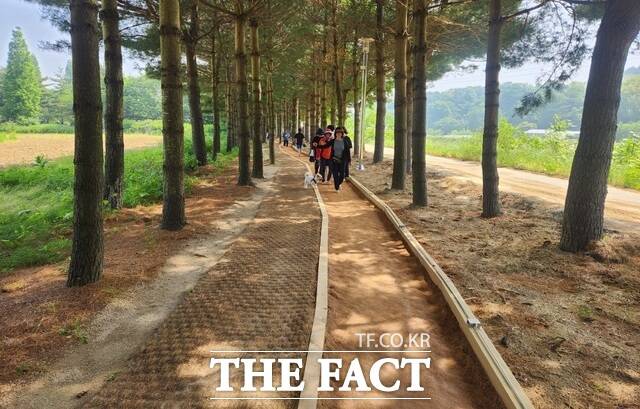 예산군 덕산온천 단지 내에 조성돼 있는 황톳길 모습./ 예산군.