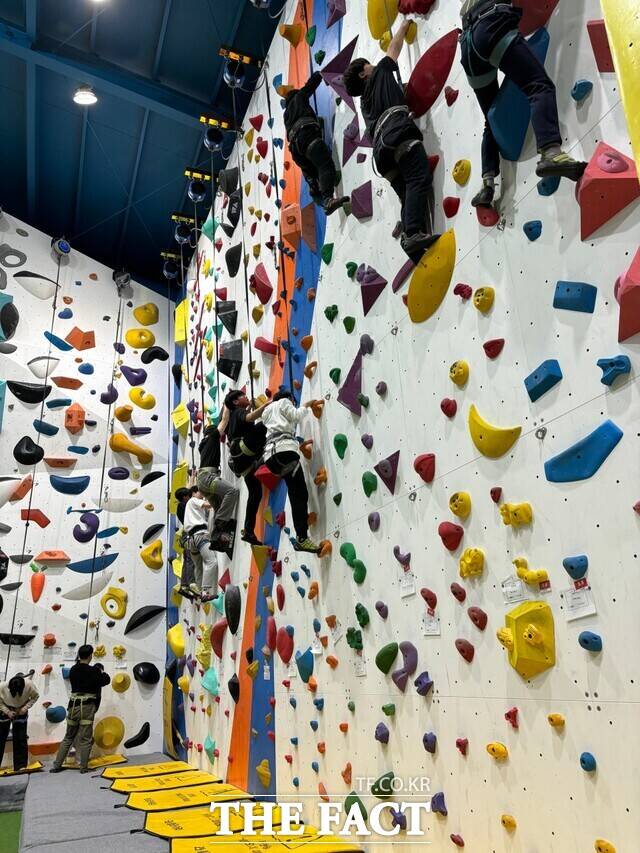천안 워케이션 프로그램으로 신설된 클라이밍 체험장. /충남문화관광재단