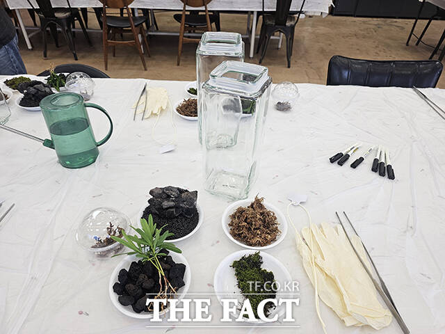 비바리움 만들기 체험은 작은 이끼와 자갈을 배치한 후 도둑게를 넣어 직접 작은 생태계를 만들 수 있다. /익산=박은평 기자