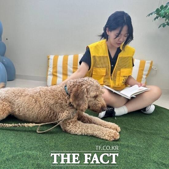경기도가 오는 5월부터 반려동물 복합문화공간인 ‘반려마루 화성’에서 ‘반려동물 교감 활동’의 일환으로 새롭게 진행하는 ‘리딩2독&캣(Reading to dog&cat)’ 프로그램을 시범 운영하고 있다./경기도