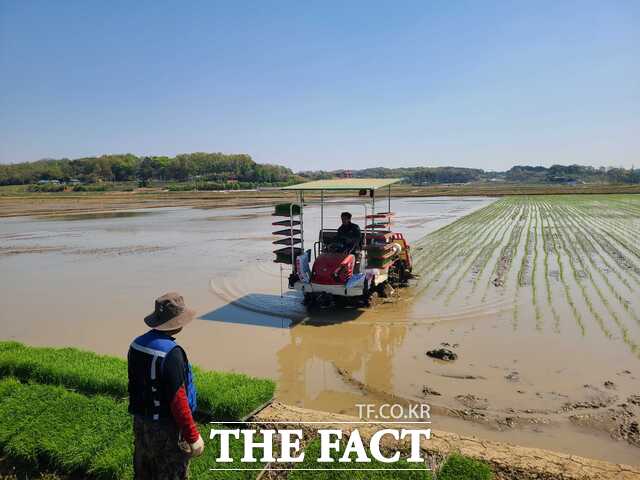 당진시농업기술센터는 지역 농가를 대상으로 적기 모내기 실천을 위한 기술지도 활동을 본격 추진한다. /당진시