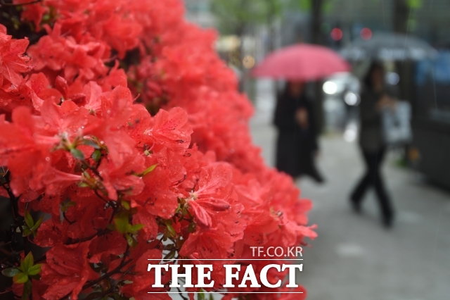 기상청은 2일 새벽부터 아침 사이 경기동부와 강원내륙·산지, 경북내륙에 0.1㎜ 미만의 빗방울이 떨어지는 곳이 있겠고, 바람이 강하게 부는 곳이 있겠다고 예보했다./장윤석 기자