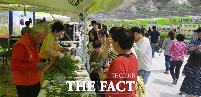 소공소공 농촌체험 장면. /공주시