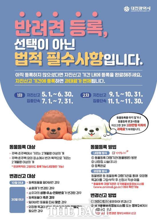 대전시 반려동물 등록 자진신고 기간 운영 안내문./대전시