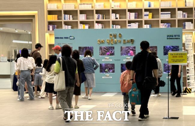시흥시 배곧도서관이 도심 속 민물고기 이동도서관 전시를 진행하고 있다. /시흥시 배곧도서관