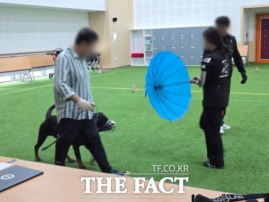 경기도 기질평가위원회 관계자들이 맹견사육허가를 신청한 한 맹견을 대상으로 기질평가를 진행하고 있다. /경기도