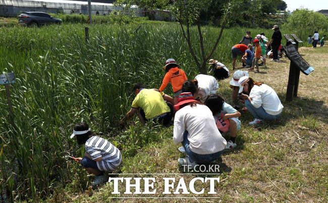 물자라와 떠나는 호조벌 둠벙 탐험 모습 /시흥시